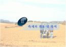 생태관광지조사 - 고창군 보리밭 7페이지