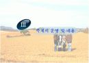 생태관광지조사 - 고창군 보리밭 10페이지