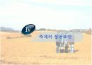 생태관광지조사 - 고창군 보리밭 13페이지