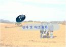 생태관광지조사 - 고창군 보리밭 20페이지