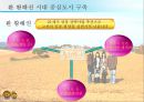 생태관광지조사 - 고창군 보리밭 24페이지