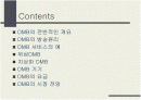 지상파 DMB와 위성DMB의 비교 및 시장 전망 2페이지