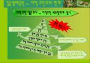 생태관광지조사 - 길동생태공원 21페이지