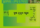 생태관광지조사 - 길동생태공원 24페이지
