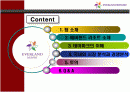 [경영과의사결정]테마파크산업의 현황과 에버랜드 사례분석 (A+리포트) 2페이지