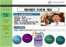 [경영과의사결정]테마파크산업의 현황과 에버랜드 사례분석 (A+리포트) 4페이지