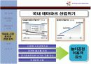 [경영과의사결정]테마파크산업의 현황과 에버랜드 사례분석 (A+리포트) 20페이지