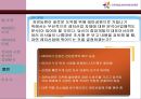 [경영과의사결정]테마파크산업의 현황과 에버랜드 사례분석 (A+리포트) 24페이지