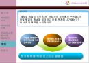 [경영과의사결정]테마파크산업의 현황과 에버랜드 사례분석 (A+리포트) 25페이지