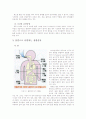 흡연이 건강 및 영양상태에 미치는 영향 7페이지