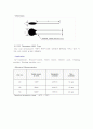 Thermistor 실험 결과 보고서 4페이지