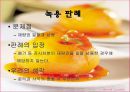 식품관련 행정법 판례 분석 22페이지