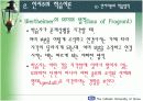 인지(형태)주의 학습이론 (교육학) 19페이지