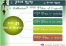 인지(형태)주의 학습이론 (교육학) 20페이지