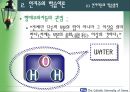 인지(형태)주의 학습이론 (교육학) 25페이지