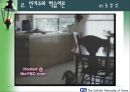 인지(형태)주의 학습이론 (교육학) 31페이지