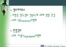 인지(형태)주의 학습이론 (교육학) 41페이지