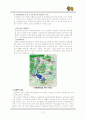 생태관광지 조사- 고창 청보리밭 12페이지