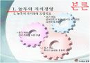 놀부의 지식경영 ppt 8페이지