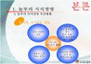 놀부의 지식경영 ppt 13페이지