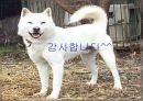 한옥의 이해 34페이지