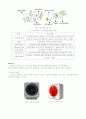 MCCB ELCB 조사 5페이지