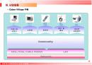 사업계획서- 지역 커뮤니티 인터넷 포탈(Cyber Village )  10페이지