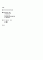 채팅에서 사용하는 언어 1페이지