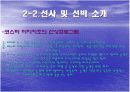 [크루즈여행]지중해크루즈 9박10일 9페이지