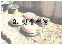 딤채 마케팅전략(4P,SWOT,STP분석) 7페이지