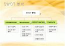 딤채 마케팅전략(4P,SWOT,STP분석) 12페이지