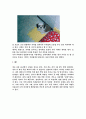 강아지 키우기 6페이지