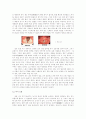노래 잘 부르기  4페이지