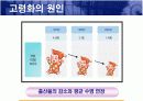 인구고령화가 경제에 미치는 영향 8페이지