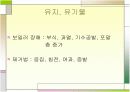 보일러 수처리 , 보일러 효율 및 성능, 보일러 수처리 목적 9페이지