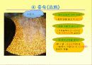 전통 된장 만들기 7페이지