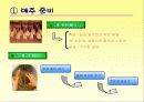 전통 된장 만들기 18페이지