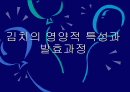 김치의 영양적 특성과 발효과정 1페이지
