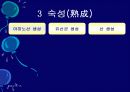 김치의 영양적 특성과 발효과정 37페이지