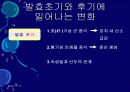 김치의 영양적 특성과 발효과정 45페이지