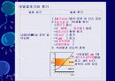 김치의 영양적 특성과 발효과정 57페이지