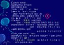 김치의 영양적 특성과 발효과정 58페이지
