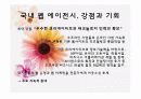 [웹기획및설계] Web Agency 분석 PPT 11페이지