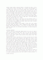 동남아 화인사회 형성과 정체성 - 말레이시아, 인도네시아, 필리핀 3국을 중심으로 11페이지