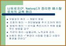 계발주의 교육사상 11페이지