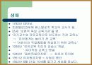 계발주의 교육사상 22페이지