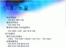 지역축제조사 4페이지