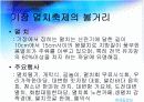 지역축제조사 7페이지