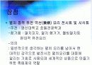 지역축제조사 11페이지