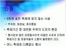 지역축제조사 12페이지